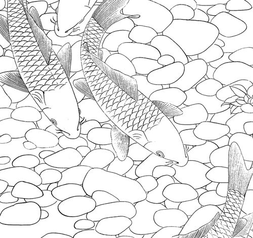 工笔画底稿工笔红鲤鱼白描9打印稿宣纸稿本店拷贝稿