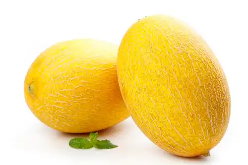 白底上摆放着黄皮哈密瓜