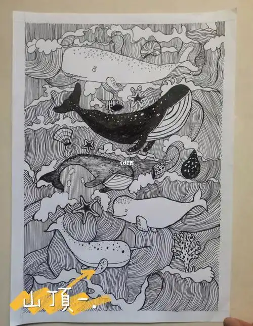 线描画海洋生物