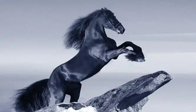 马行千里,不洗尘沙意思