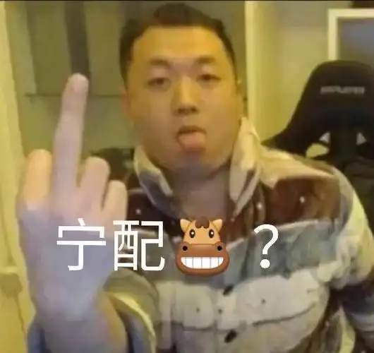 沙雕药水哥宁配吗您配吗你配嘛中指你不配表情