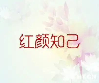 红颜知己 商标转让