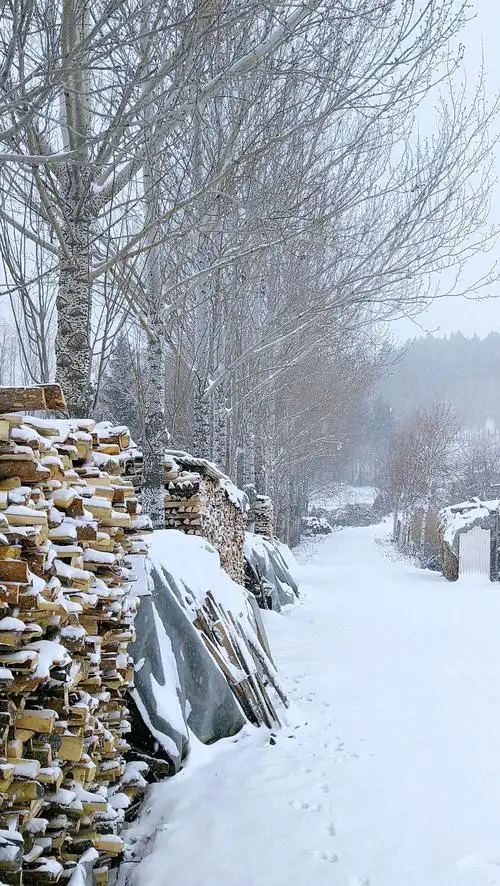 美丽的乡村雪景