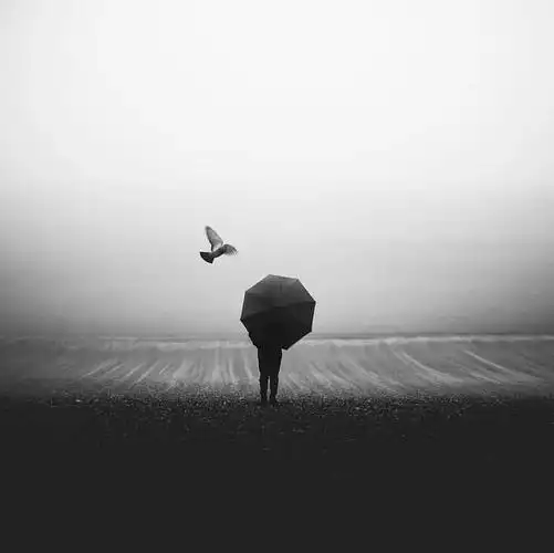 摄影师christophestaelens来自比利时的一位摄影师他的作品非常有意境