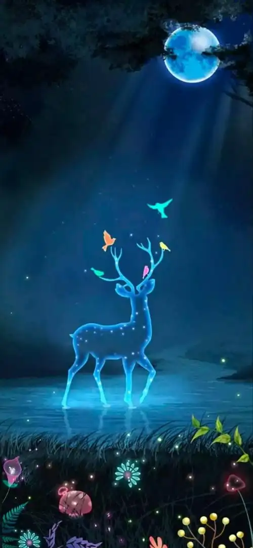 唯美手机壁纸聊天背景图