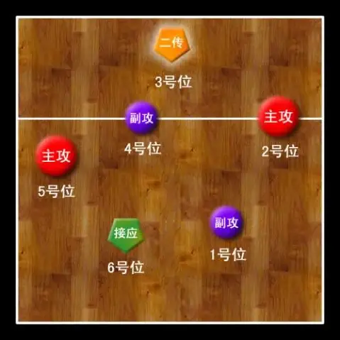 排球接发球的"站位"和"跑位"路线图