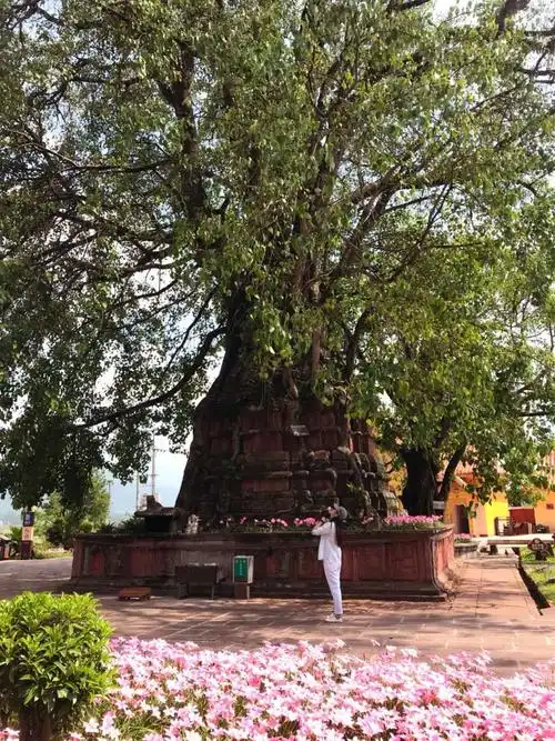 菩提树下,断烦恼三千.