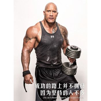 abdt裸身图片 健身房励志海报装饰画健美美女马甲线肌肉运动男女图片