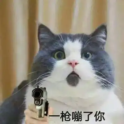 qq搞笑头像大全2021,有趣的图片头像 搞笑