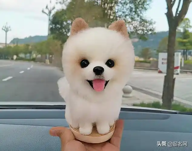 46个"萌萌哒"宠物名,可爱又搞怪,主人的贴心小棉袄