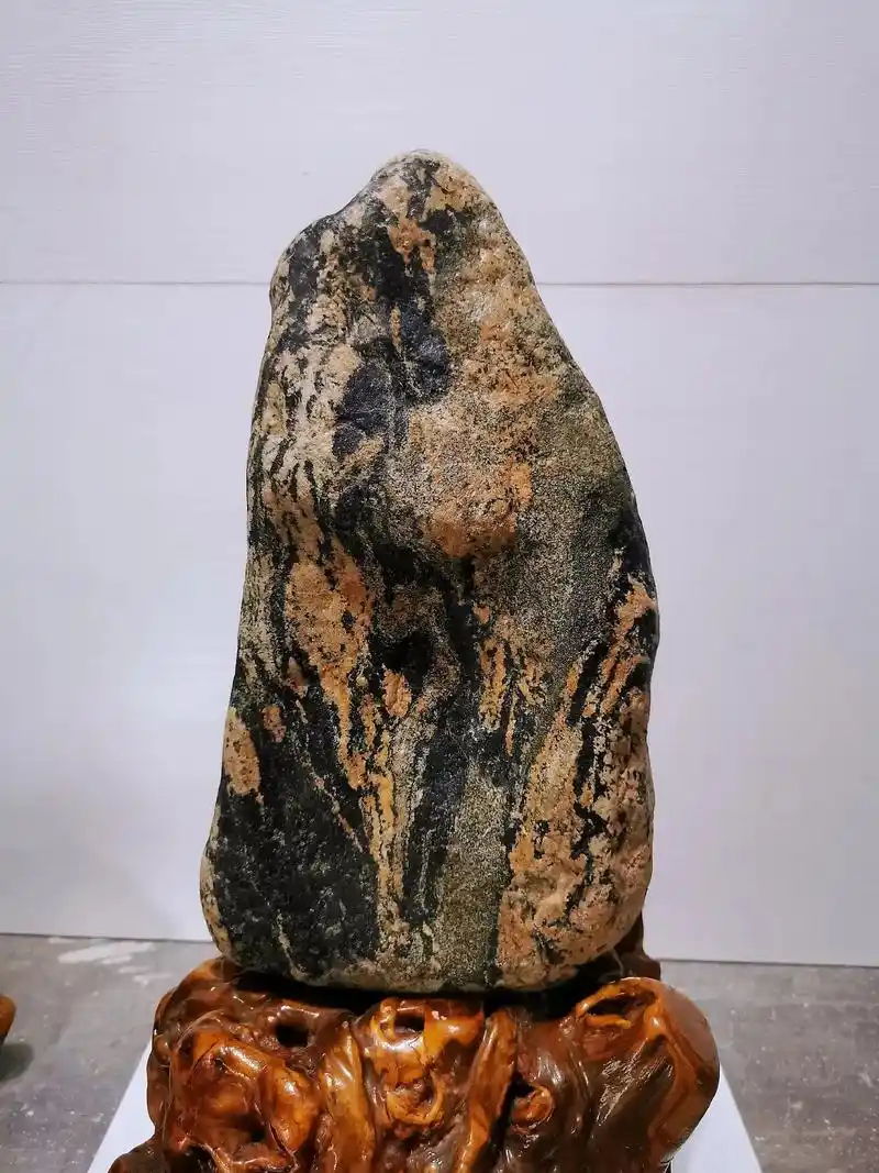 纯天然泰山石#当年乘座市郊车背回最大的一方泰山石#21x2 - 抖音