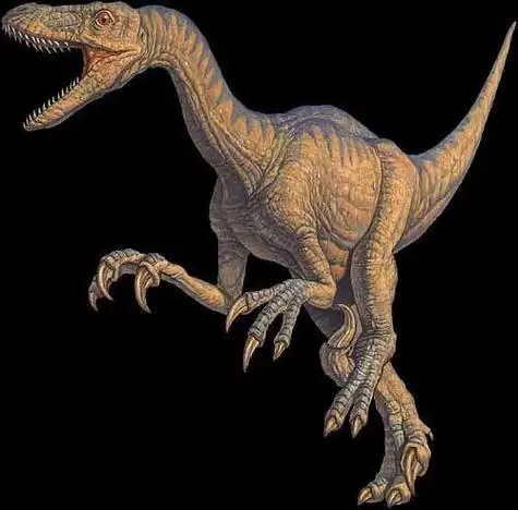 p>恐爪龙属(学名:deinonychus)是驰龙科恐龙的一属,身长约3.