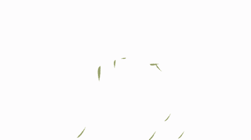 树叶飘落gif图_百度图片搜索