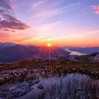 2020年头像优美风景图片_微信头像图片大全