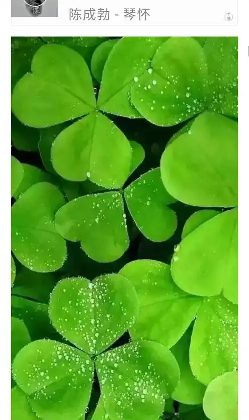 绿色,绿色,环保美丽,保护眼睛!