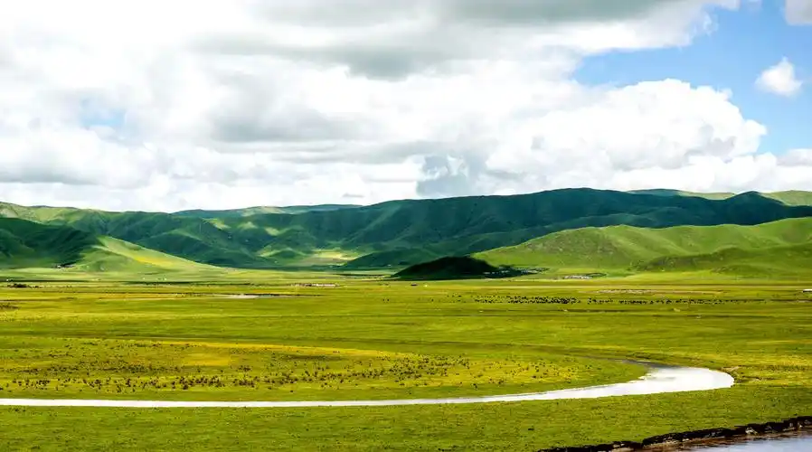 月亮湾草原位于四川红原境内,草原宽阔,牧草茂盛.