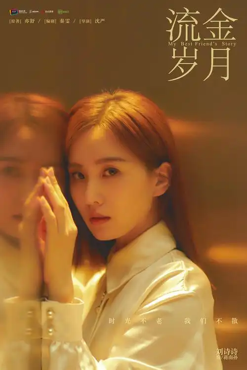 电视剧《流金岁月》海报