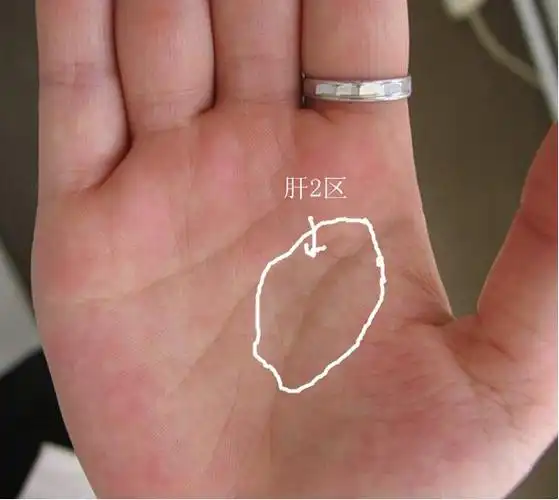 肝气不舒在手上的诊法