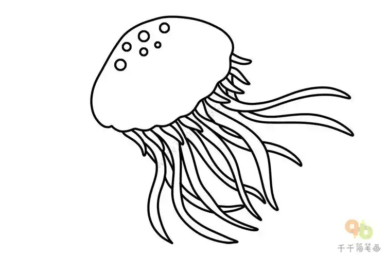 漂亮的水母简笔画画法