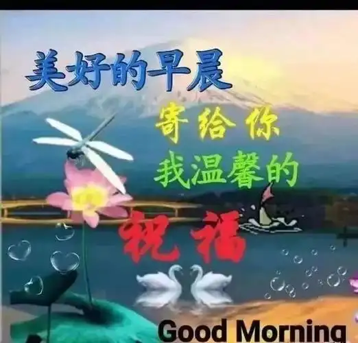 微信朋友圈群发清晨问候语表情 温暖早上好问候语表情图片