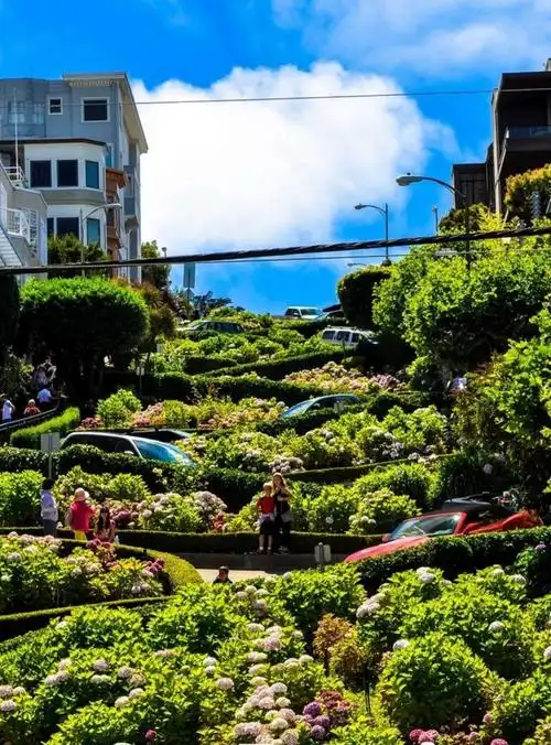 让大家再看看美丽的九曲花街