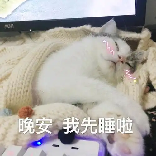 晚安,我先睡啦(猫咪)_猫咪_我先_晚安表情