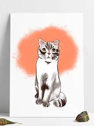 手绘 写实  i>银 /i>渐层 猫猫 简易