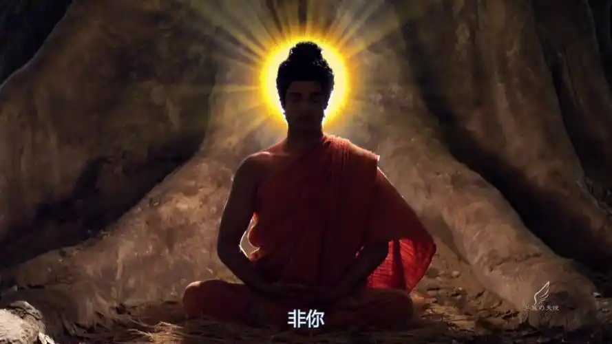 佛陀剪辑 · 菩提悟道 · 一花一世界