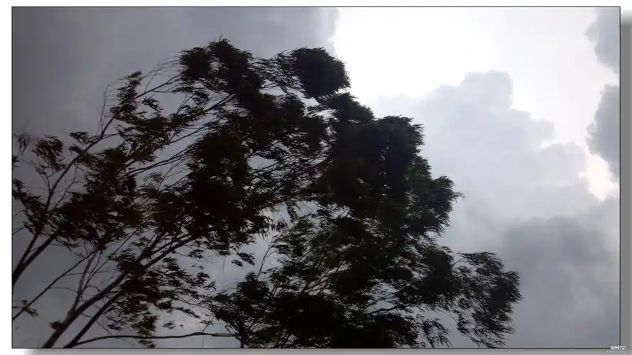 飞沙走石狂风大作