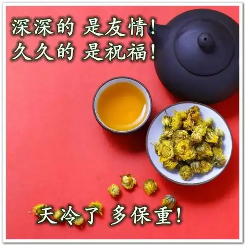 2021年唯美漂亮早安问候图片带字阳光暖心的早安祝福语大全