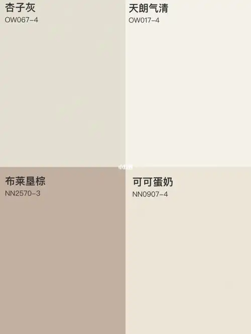 图11566为多乐士浅滩银珠90立邦杏子灰