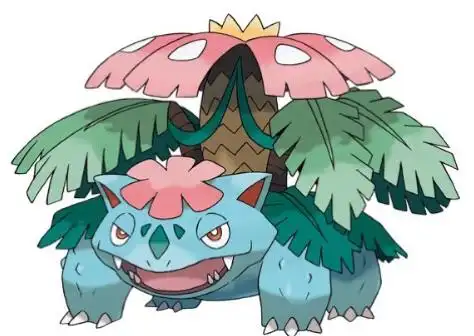 超级妙蛙花,是妙蛙花用妙蛙花超进化石进化来的,草系和毒系,只有战斗