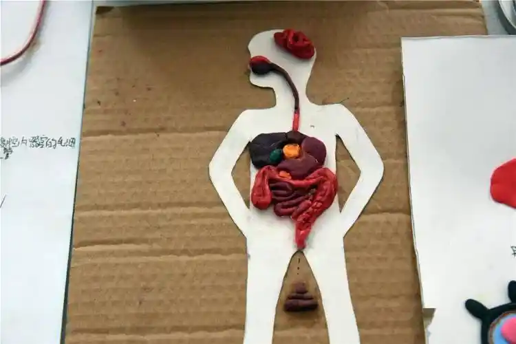 模型来了!各种酷炫的生物形象让你大开眼界~~_作品_素养_结构