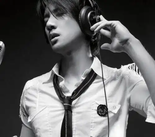 【图】心跳王力宏歌词唯美 一语道尽爱情酸甜苦辣