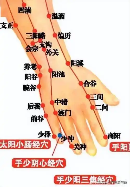 而我们的手掌,则为手三阴经所行循之地.