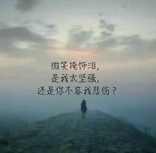 最大的寂寞不是一个人,而是两个人之后,再变成一个人.