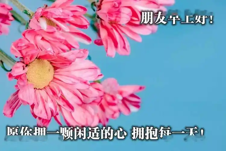 早晨问候朋友的早安图片早安心语祝福图片
