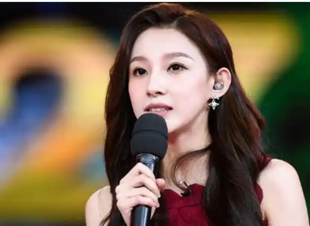 新闻联播女主持人头发造型图片(2)_发型式样_西子美发网