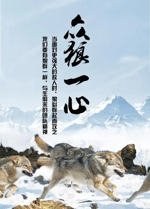 狼性口号霸气押韵8字,简短狼性团队口号8个字左右(成大事者,要有狼的