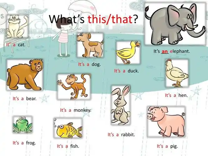 科普版英语第三课so many animals ppt课件