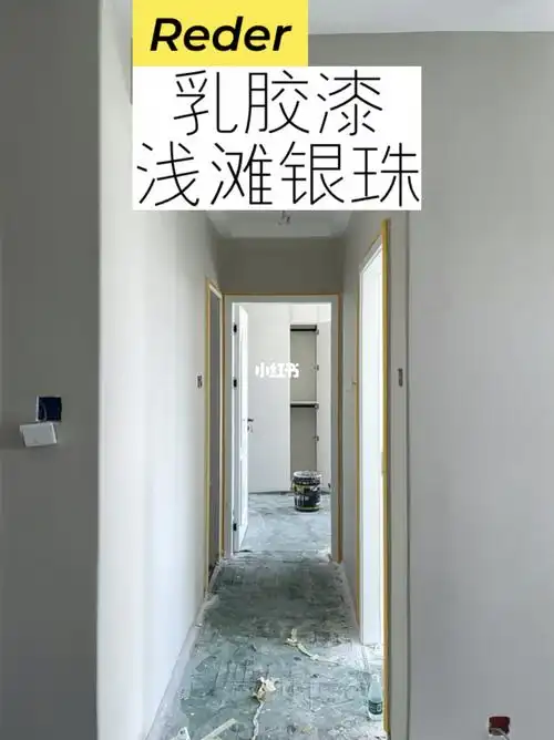 强烈推荐网红乳胶漆色浅滩银珠太好看了