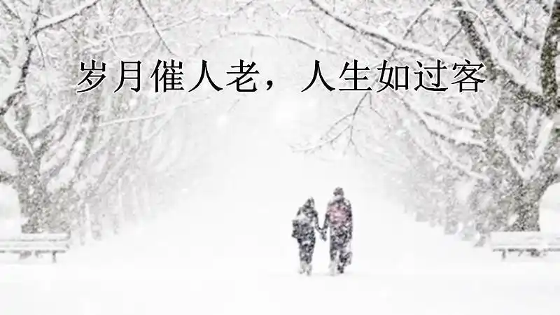 夜听岁月催人老人生如过客