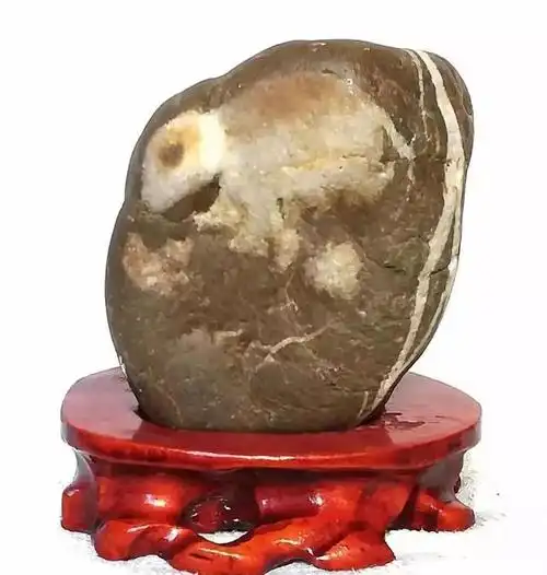 《金鼠迎春》斗石活动获奖奇石长啥样?