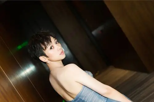 李晓峰短发抹胸长裙活动写真图片