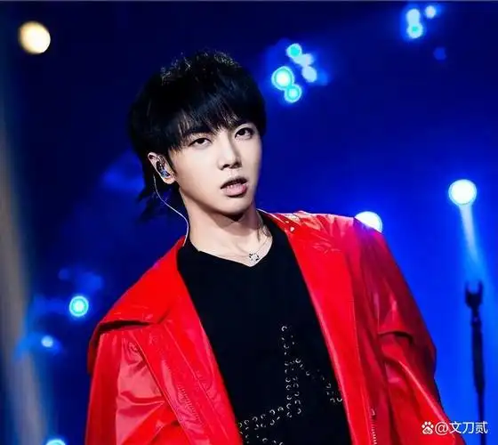 一场晚会上华晨宇唱beyond乐队的《大地》.