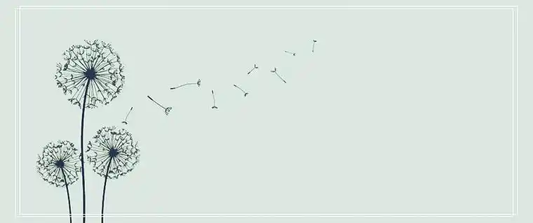 淘宝淡雅蒲公英促销海报背景图片