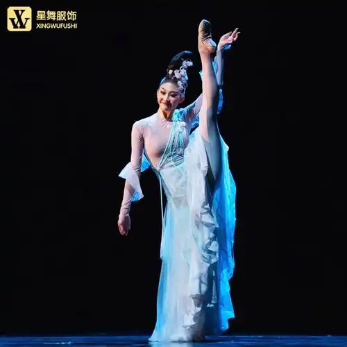 古典舞蹈服装艺考服女影涧花神飘逸大摆裙表演服中国舞剧目演出服