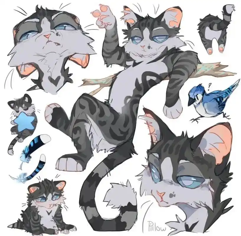 插画分享/猫咪动作参考篇3.0.#插画分享 #插画 #cha - 抖音