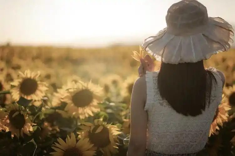 我真的太喜欢温柔的人了这4个温柔之人的特质