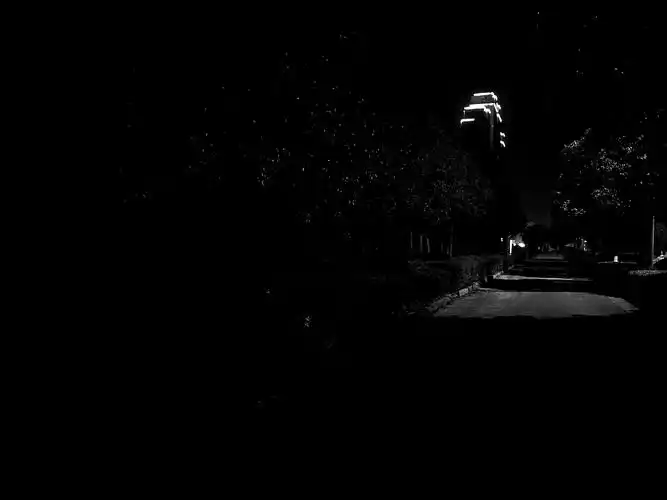 提示信息 花粉俱乐部